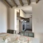 Apartment Beautiful Terrace Serragli